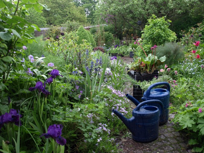 Umzug Häuschen6867 (7).JPG