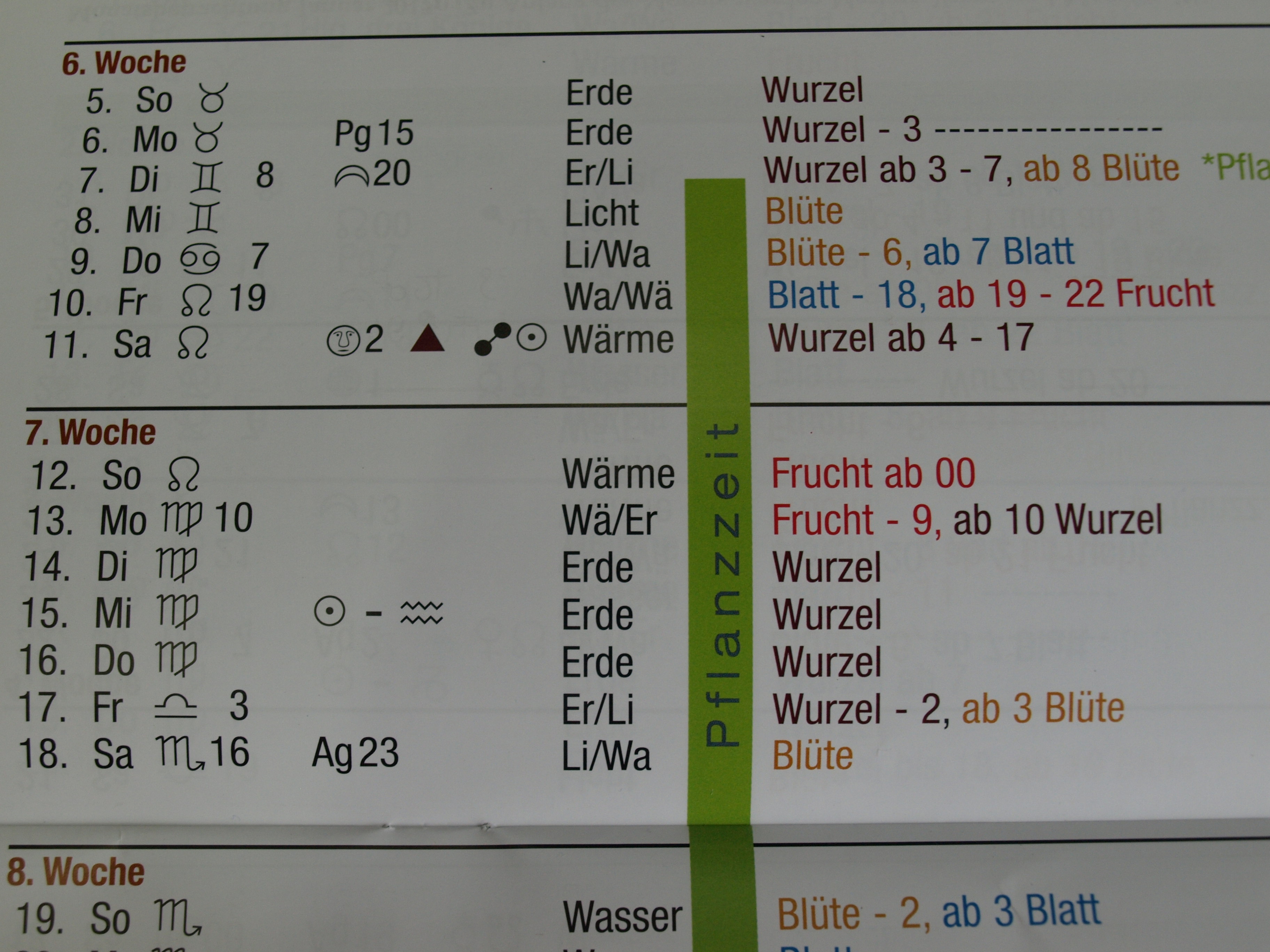 Paprika Aussaaat 2017 2 (16).JPG