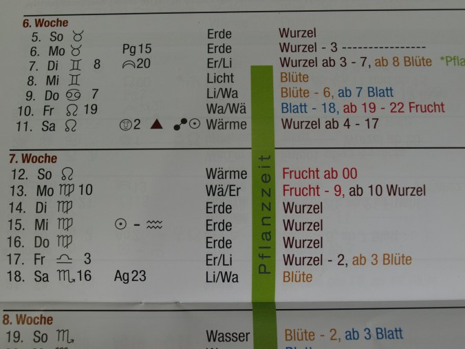 Paprika Aussaaat 2017 2 (16).JPG