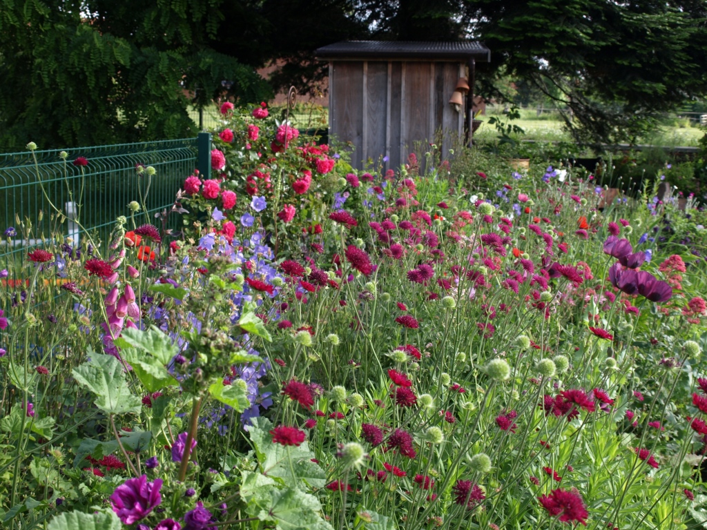 P6146826 - Kopie.JPG