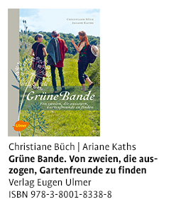 Grüne Bande.jpg
